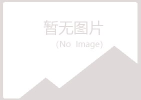 鹤城区晓夏能源有限公司